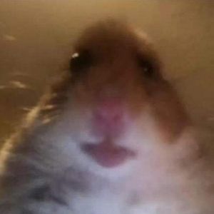 Meet your Posher, Angel